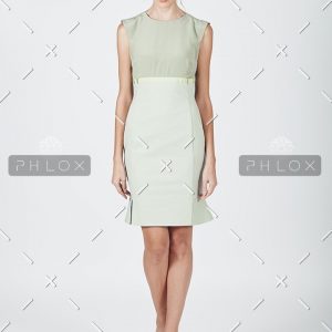 Sheath Dress
